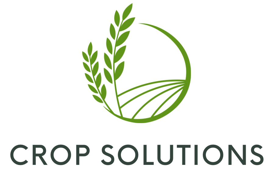 Crop Servizio Droni